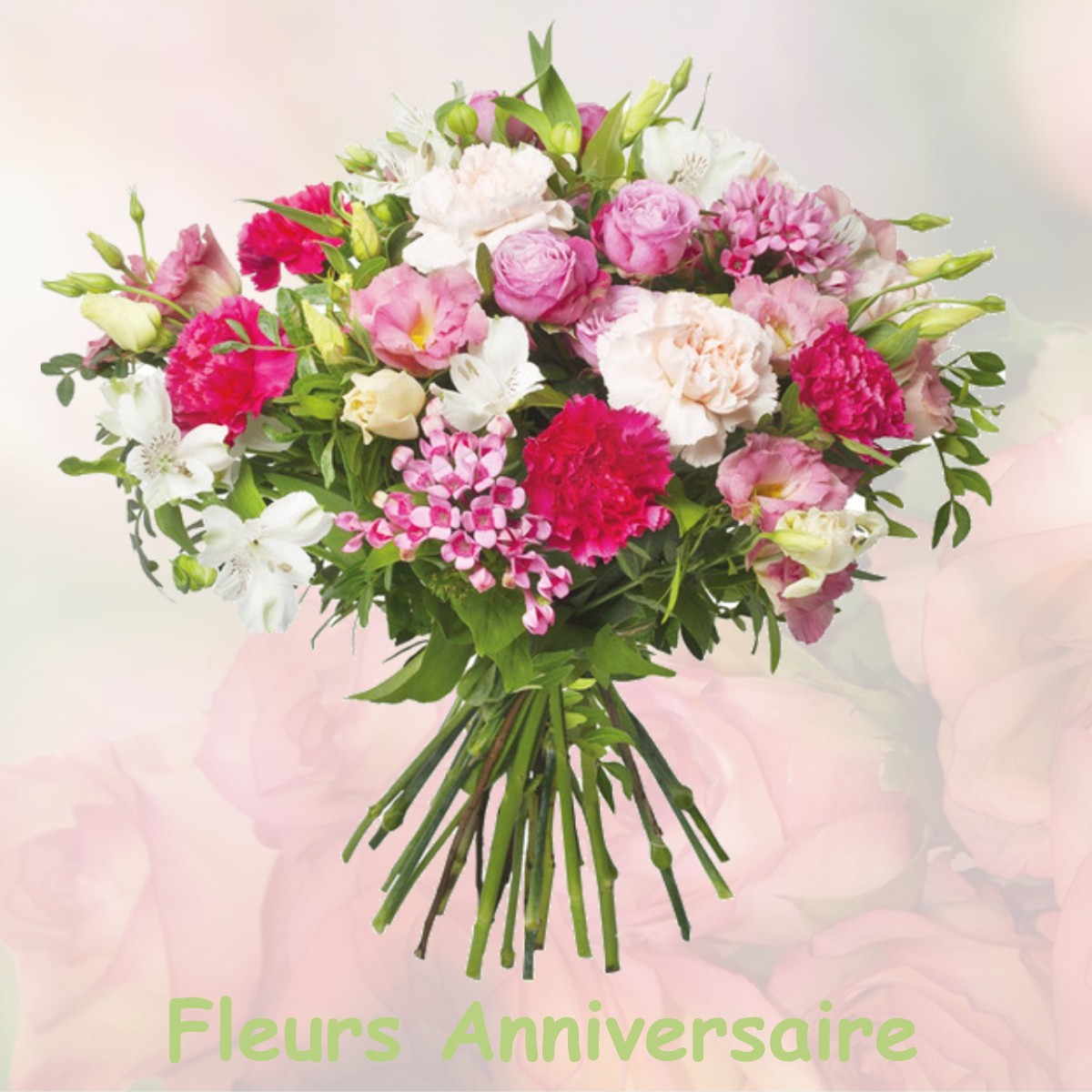 fleurs anniversaire DRUY-PARIGNY