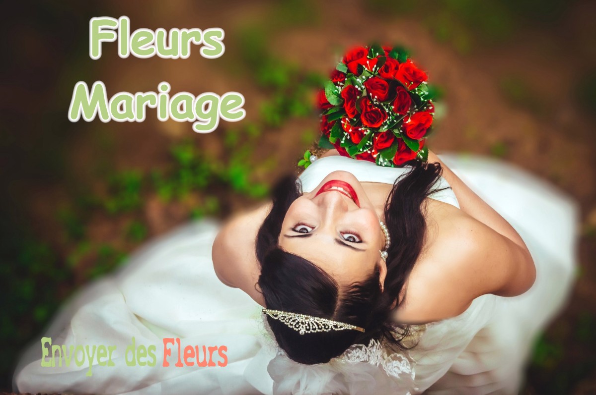 lIVRAISON FLEURS MARIAGE à DRUY-PARIGNY